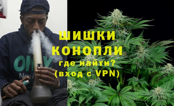стаф Бикин