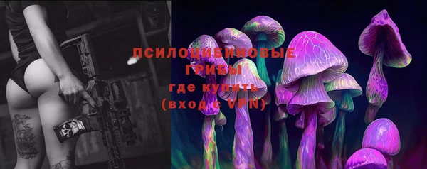 гашик Гусев
