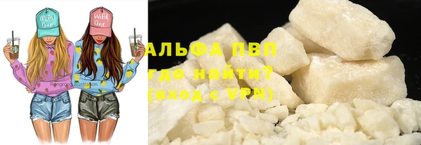 гашик Гусев