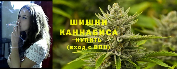 гашик Гусев