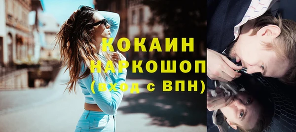стаф Бикин